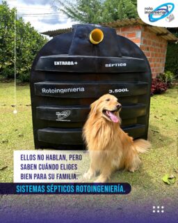 𝗘𝗹𝗲𝗴𝗶𝗿 𝗥𝗼𝘁𝗼𝗶𝗻𝗴𝗲𝗻𝗶𝗲𝗿𝗶́𝗮 𝗲𝘀 𝗽𝗲𝗻𝘀𝗮𝗿 𝗲𝗻 𝗯𝗶𝗲𝗻𝗲𝘀𝘁𝗮𝗿 𝗮 𝗹𝗮𝗿𝗴𝗼 𝗽𝗹𝗮𝘇𝗼.
Nuestros sistemas sépticos están hechos para cuidar tu entorno, proteger a quienes lo habitan y acompañar tus proyectos por años, no solo para cumplir.

Porque cuando eliges bien, tu familia lo siente… incluso los que no hablan.

📩 Contáctanos.
☎️ 6044443835 📲3042194758 o visítanos en nuestro punto de venta 📌Carrera 50 N° 79S 15 Bodega 5A. Promisión. La Estrella, Antioquia. 

#Rotoingeniería #AguasResiduales #TratamientoBiológico #CuidadoDelAgua #VidaQueNace #FuturoSostenible #rotomoldeo