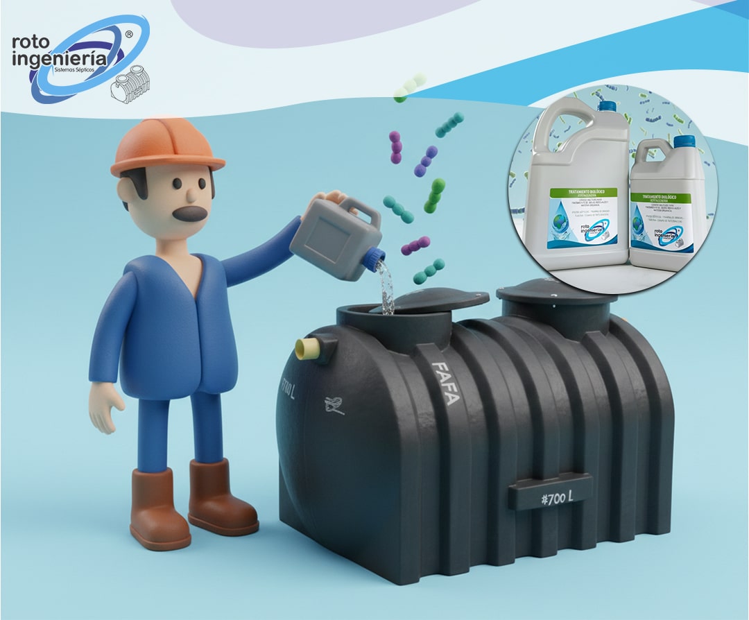bacterias para sistema septico
